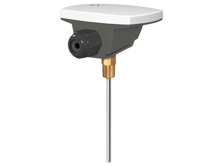 Immersion sensor with housing, without well